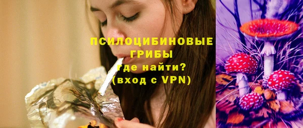 первитин Осинники
