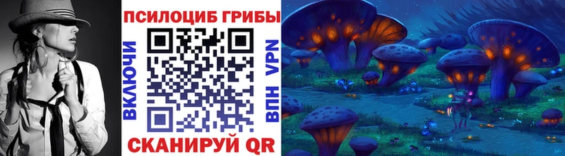 площадка формула  хочу наркоту  Черепаново  Галлюциногенные грибы MAGIC MUSHROOMS 